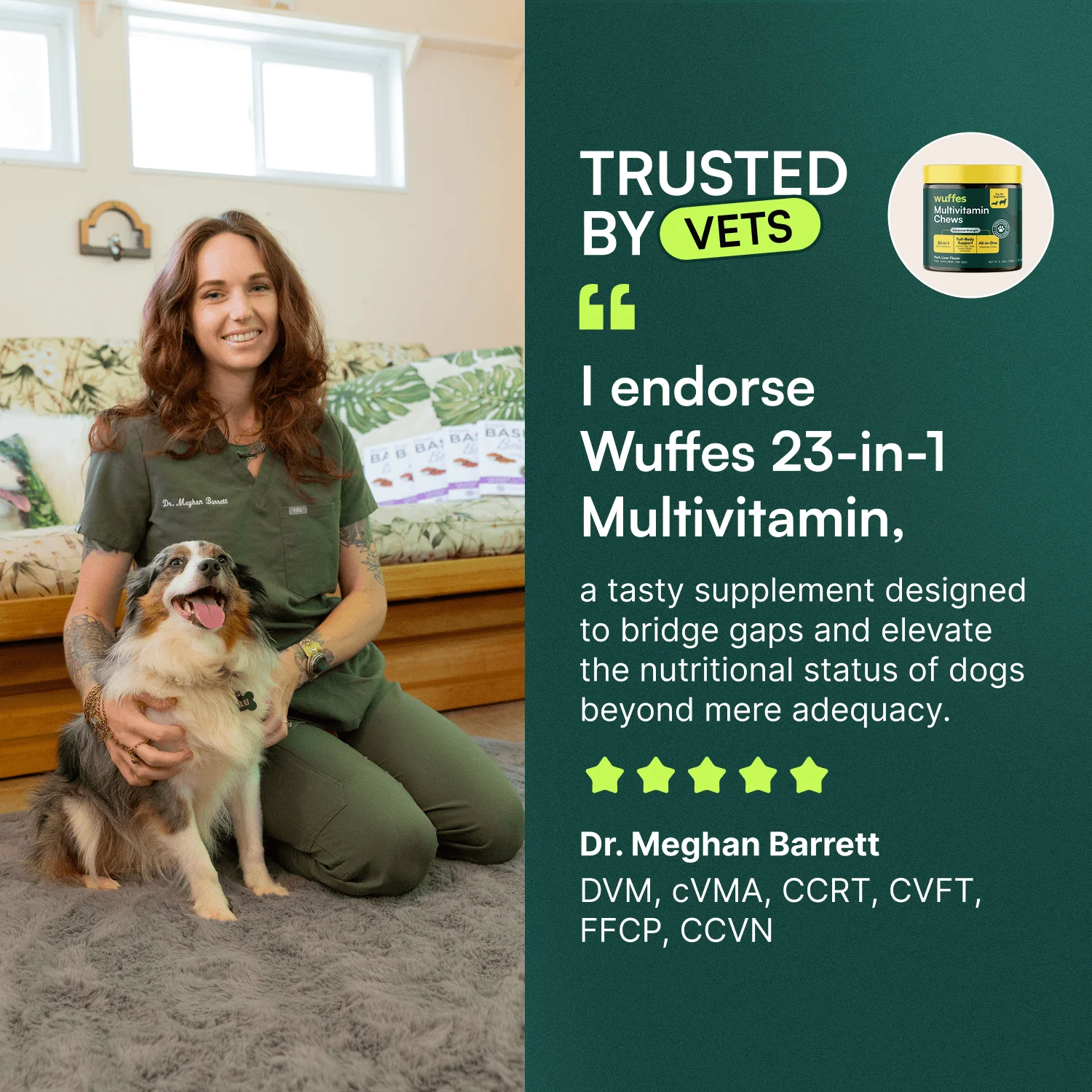 Multivitamin Chews + Probiotic Chews - Image 7